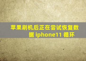 苹果刷机后正在尝试恢复数据 iphone11 循环